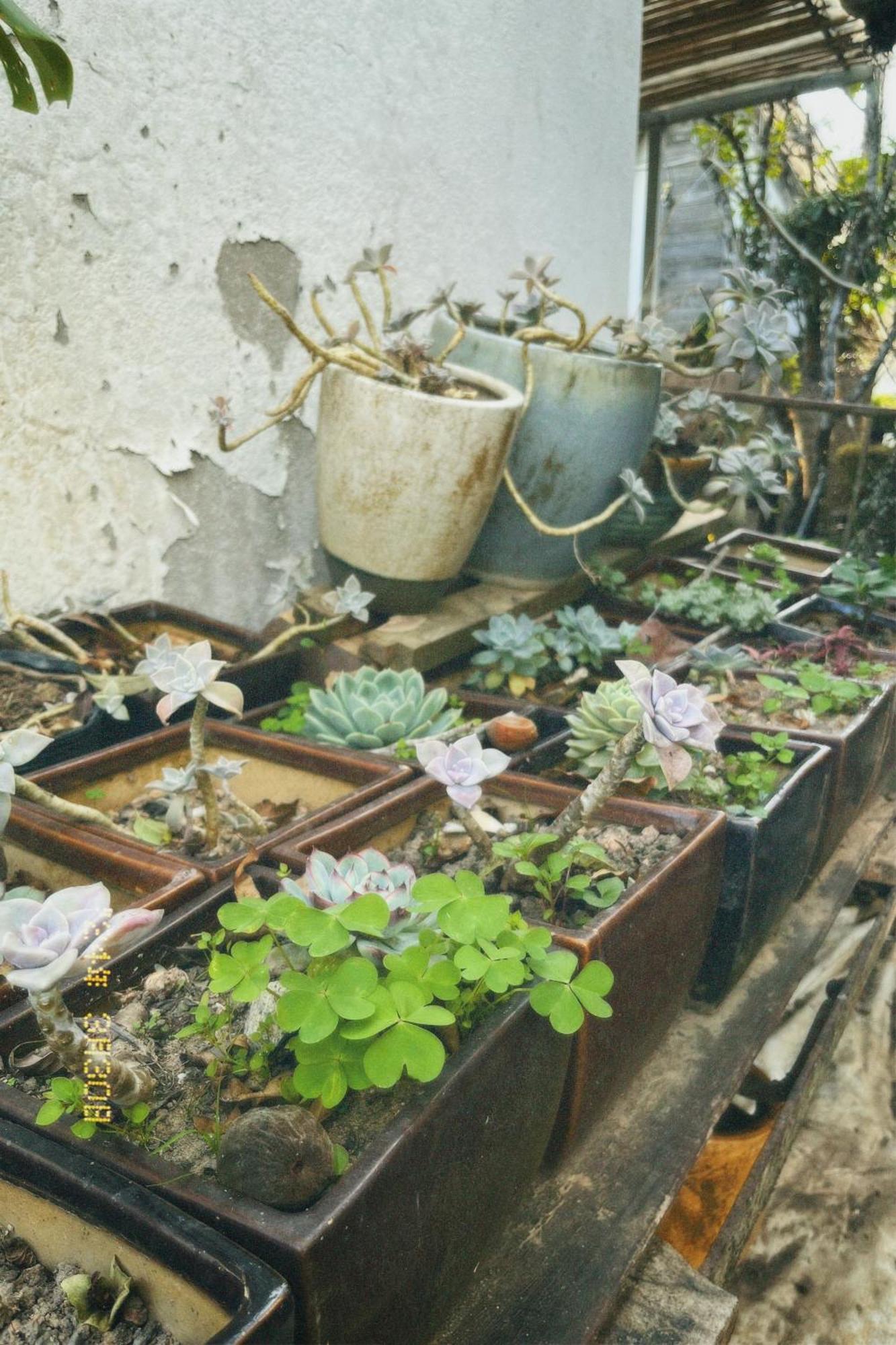 Nap Da Lat Apartment ภายนอก รูปภาพ