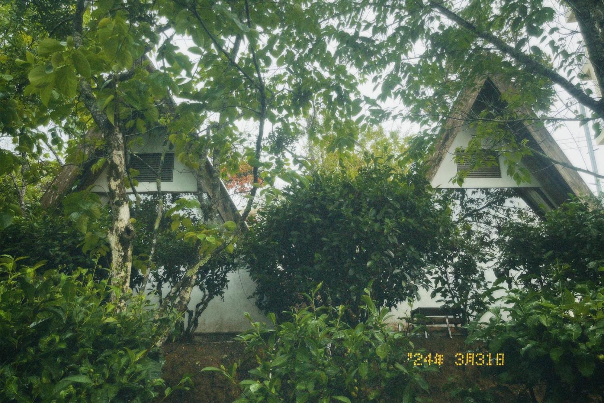 Nap Da Lat Apartment ภายนอก รูปภาพ