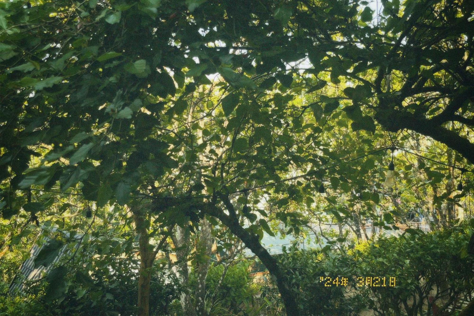 Nap Da Lat Apartment ภายนอก รูปภาพ